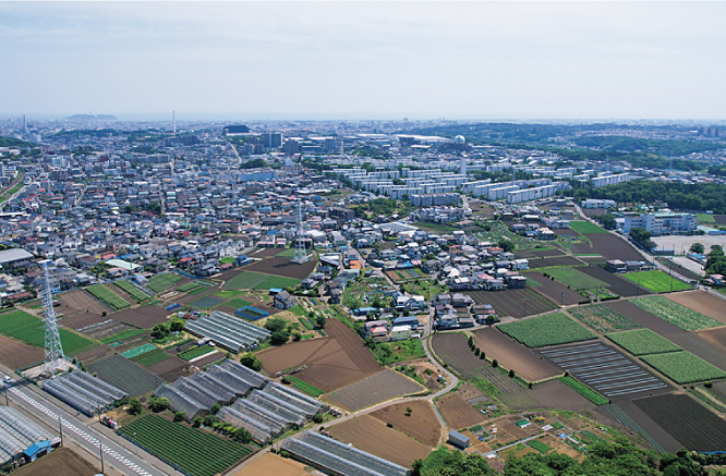 発掘現場や遺跡文化財